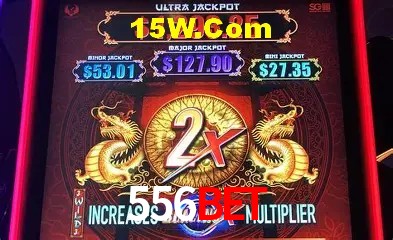 556Bet - User Statistics